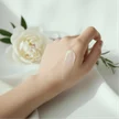 bad7718c-0901-4e3e-9c16-998e72274321-rectangle37(4).png